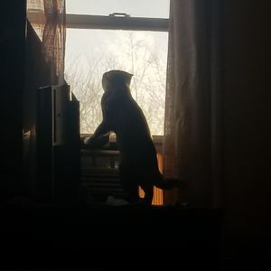 Meet your Posher, Janet